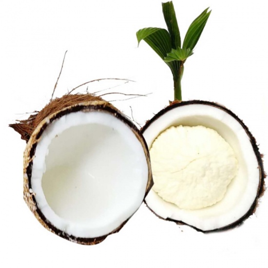 Mộng dừa (mầm dừa) ngọt, tươi ngon